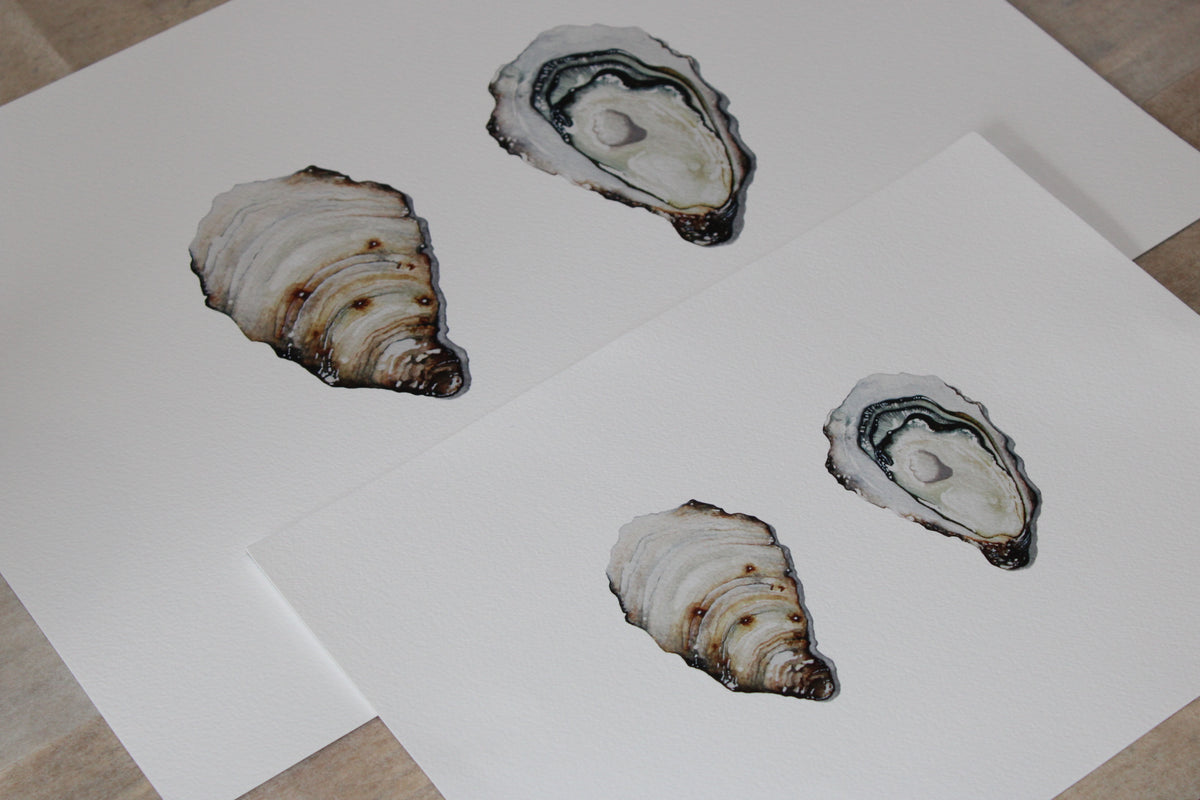 Oyster Shell Fine art print