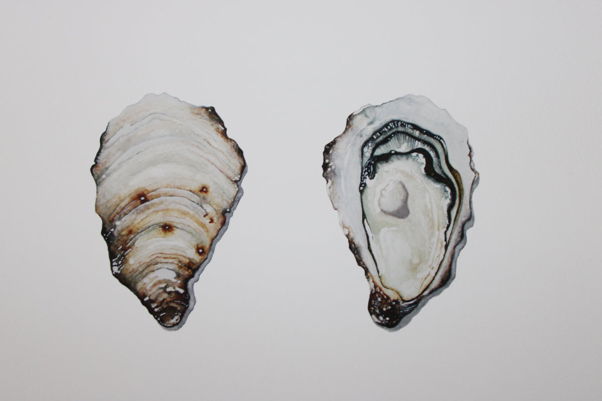 Oyster Shell Fine art print