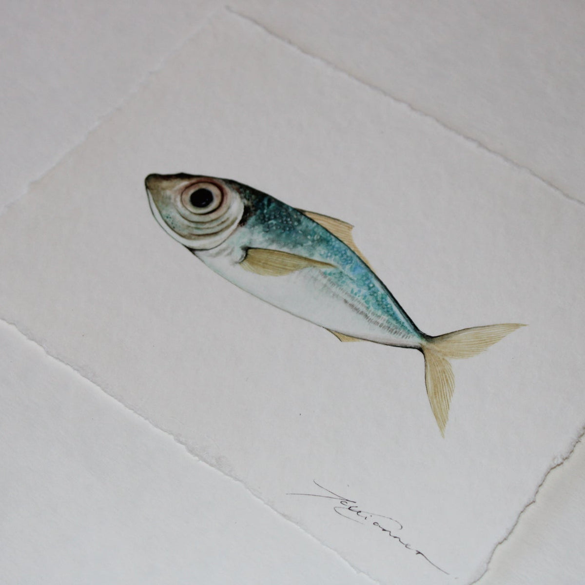 Mini Fish Original